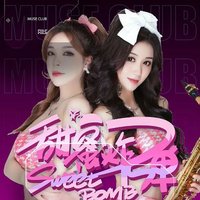 抖音車載大碟dj串燒